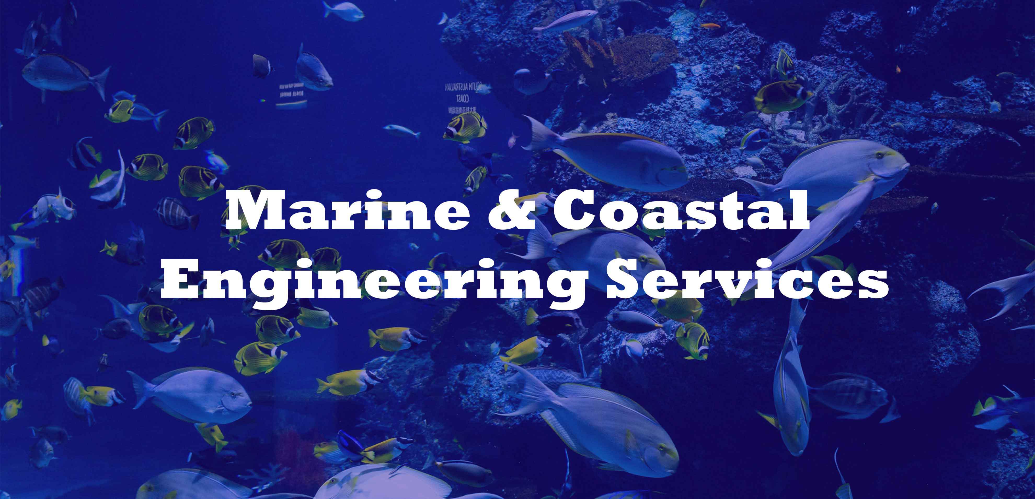 مطالعات دریایی و مهندسی سواحل